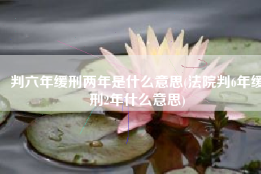 判六年缓刑两年是什么意思(法院判6年缓刑2年什么意思)