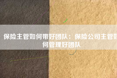 保险主管如何带好团队：保险公司主管如何管理好团队