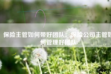 保险主管如何带好团队：保险公司主管如何管理好团队