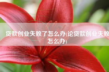 贷款创业失败了怎么办(论贷款创业失败怎么办)