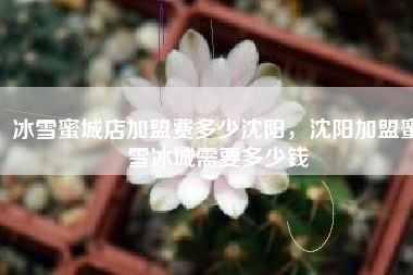 冰雪蜜城店加盟费多少沈阳，沈阳加盟蜜雪冰城需要多少钱
