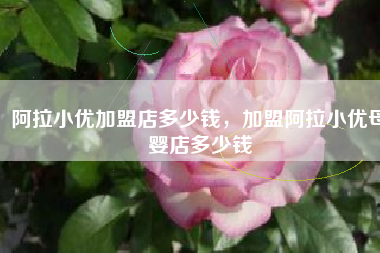 阿拉小优加盟店多少钱，加盟阿拉小优母婴店多少钱