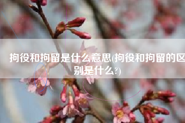 拘役和拘留是什么意思(拘役和拘留的区别是什么?)