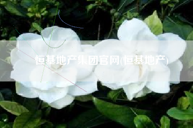 恒基地产集团官网(恒基地产)