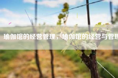 瑜伽馆的经营管理，瑜伽馆的经营与管理