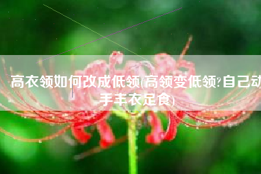 高衣领如何改成低领(高领变低领?自己动手丰衣足食)