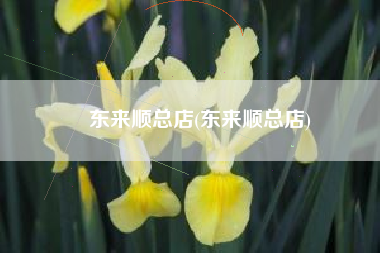 东来顺总店(东来顺总店)