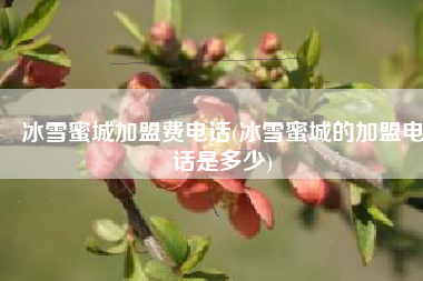 冰雪蜜城加盟费电话(冰雪蜜城的加盟电话是多少)