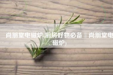 尚朋堂电磁炉(厨房好物必备‖尚朋堂电磁炉)