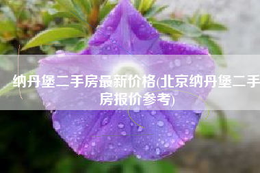 纳丹堡二手房最新价格(北京纳丹堡二手房报价参考)