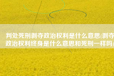 判处死刑剥夺政治权利是什么意思(剥夺政治权利终身是什么意思和死刑一样吗)