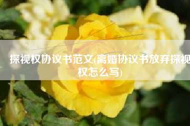 探视权协议书范文(离婚协议书放弃探视权怎么写)