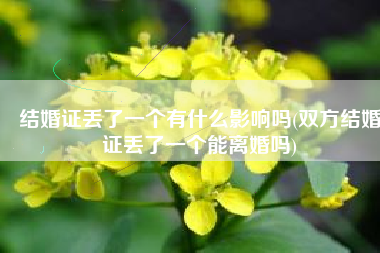 结婚证丢了一个有什么影响吗(双方结婚证丢了一个能离婚吗)