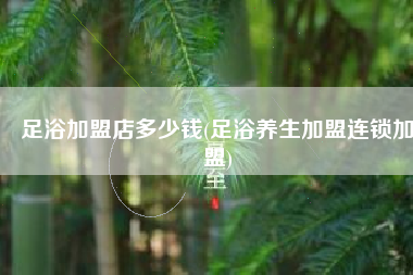 足浴加盟店多少钱(足浴养生加盟连锁加盟)