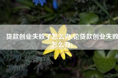 贷款创业失败了怎么办(论贷款创业失败怎么办)