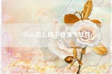 iPad4怎么样不登录下软件()