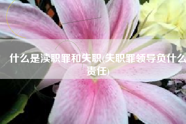 什么是渎职罪和失职(失职罪领导负什么责任)