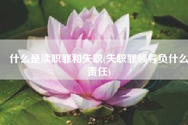 什么是渎职罪和失职(失职罪领导负什么责任)