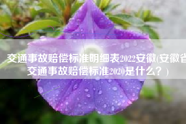 交通事故赔偿标准明细表2022安徽(安徽省交通事故赔偿标准2020是什么？)