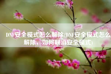 DNF安全模式怎么解除(DNF安全模式怎么解除，如何取消安全模式)