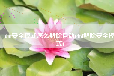 dnf安全模式怎么解除自动(dnf解除安全模式)