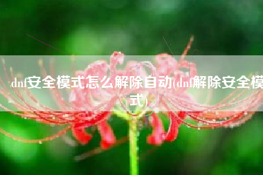 dnf安全模式怎么解除自动(dnf解除安全模式)