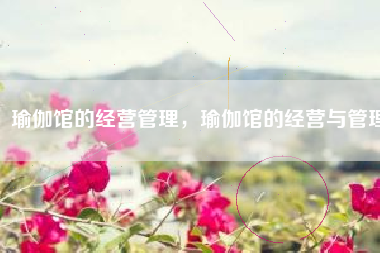 瑜伽馆的经营管理，瑜伽馆的经营与管理