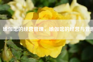瑜伽馆的经营管理，瑜伽馆的经营与管理
