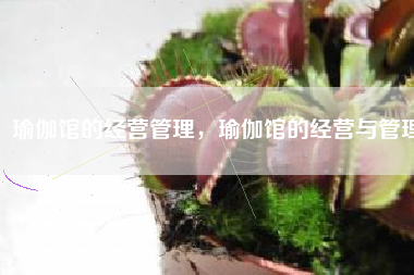 瑜伽馆的经营管理，瑜伽馆的经营与管理