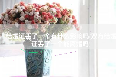 结婚证丢了一个有什么影响吗(双方结婚证丢了一个能离婚吗)