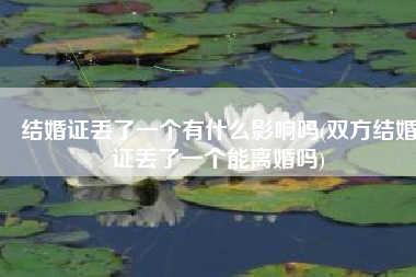 结婚证丢了一个有什么影响吗(双方结婚证丢了一个能离婚吗)