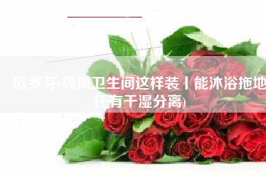 欧罗芬(极简卫生间这样装丨能沐浴拖地还有干湿分离)