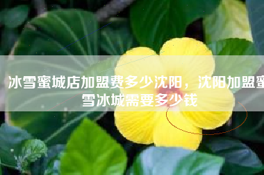 冰雪蜜城店加盟费多少沈阳，沈阳加盟蜜雪冰城需要多少钱