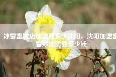 冰雪蜜城店加盟费多少沈阳，沈阳加盟蜜雪冰城需要多少钱