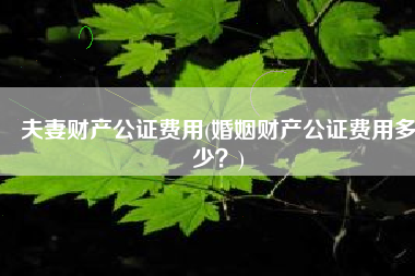 夫妻财产公证费用(婚姻财产公证费用多少？)