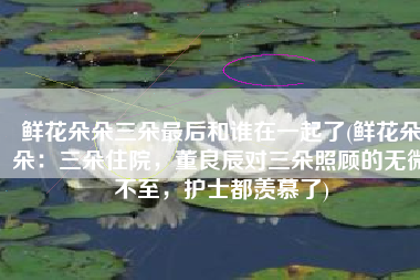 鲜花朵朵三朵最后和谁在一起了(鲜花朵朵：三朵住院，董良辰对三朵照顾的无微不至，护士都羡慕了)
