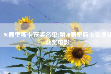 90届奥斯卡获奖名单(第90届奥斯卡金像奖获奖电影)