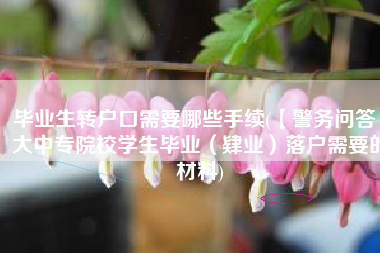 毕业生转户口需要哪些手续(【警务问答】大中专院校学生毕业（肄业）落户需要的材料)