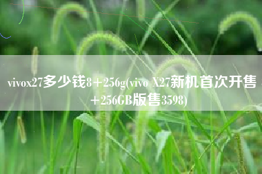 vivox27多少钱8+256g(vivo X27新机首次开售 8+256GB版售3598)