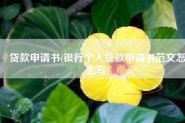 贷款申请书(银行个人贷款申请书范文怎么写)