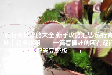 旅行青蛙攻略大全 新手攻略汇总(旅行青蛙｜超全攻略‼️一篇看懂蛙的所有疑问解答完整版‼️)