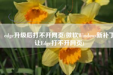 edge升级后打不开网页(微软Windows新补丁让Edge打不开网页)