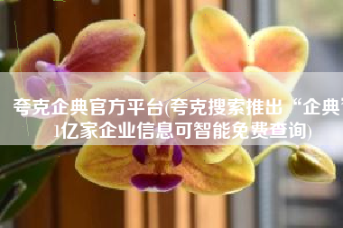 夸克企典官方平台(夸克搜索推出“企典” 1亿家企业信息可智能免费查询)