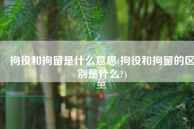 拘役和拘留是什么意思(拘役和拘留的区别是什么?)