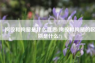 拘役和拘留是什么意思(拘役和拘留的区别是什么?)