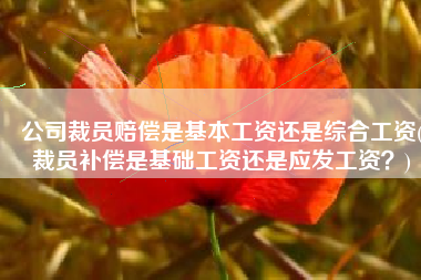 公司裁员赔偿是基本工资还是综合工资(裁员补偿是基础工资还是应发工资？)