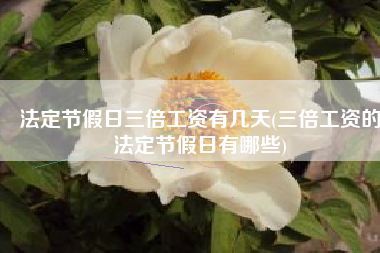 法定节假日三倍工资有几天(三倍工资的法定节假日有哪些)