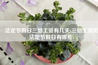 法定节假日三倍工资有几天(三倍工资的法定节假日有哪些)