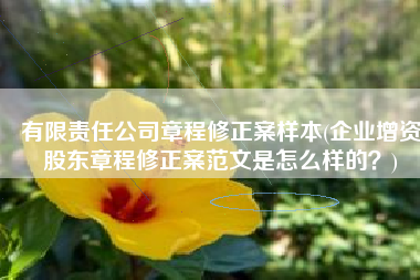 有限责任公司章程修正案样本(企业增资股东章程修正案范文是怎么样的？)