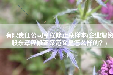 有限责任公司章程修正案样本(企业增资股东章程修正案范文是怎么样的？)